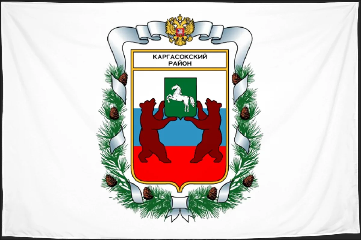 Флаг: Каргасокский район